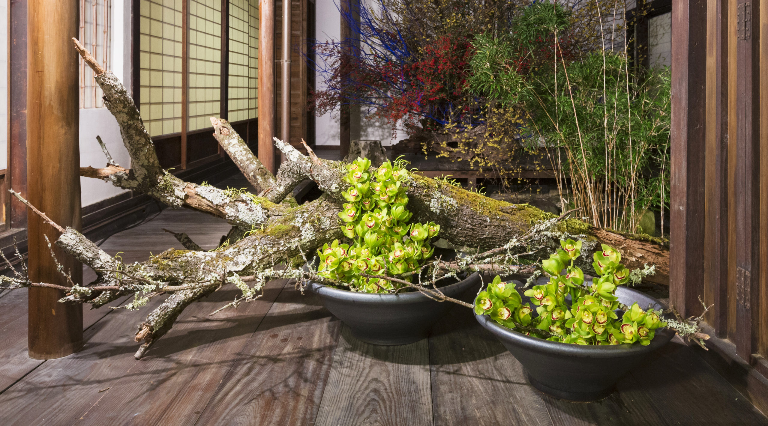 スケジュール Mimakankoubureau スケジュール Mimakankoubureau